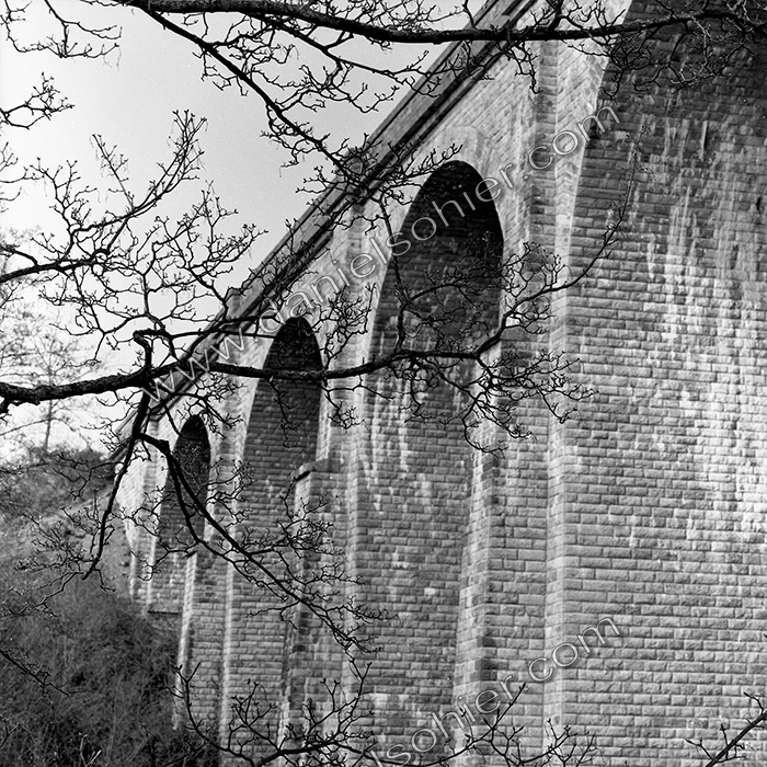 Création Noir&Blanc