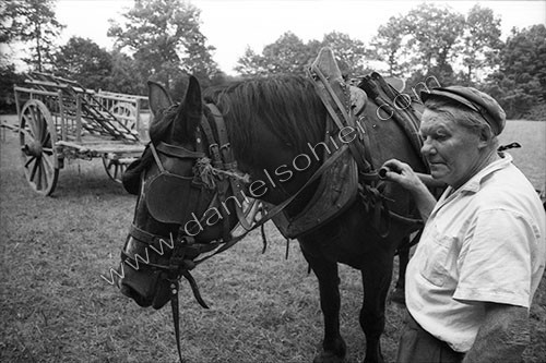 Reportage sur les foins