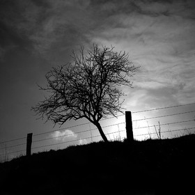 NOIR & BLANC