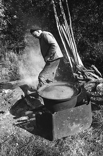 La journée du Cochon