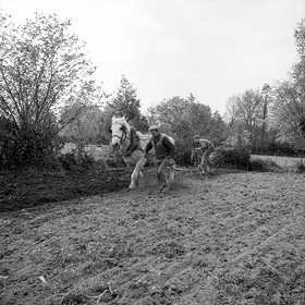 Le champ derrière la ferme