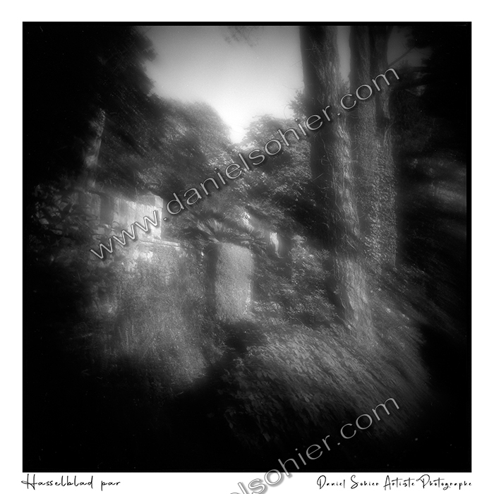 Création photographique noir et blanc argentique