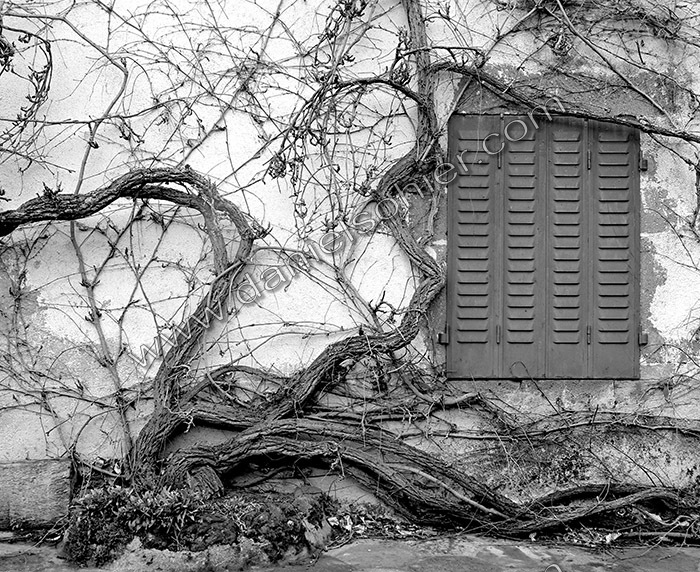 Création Noir&Blanc
