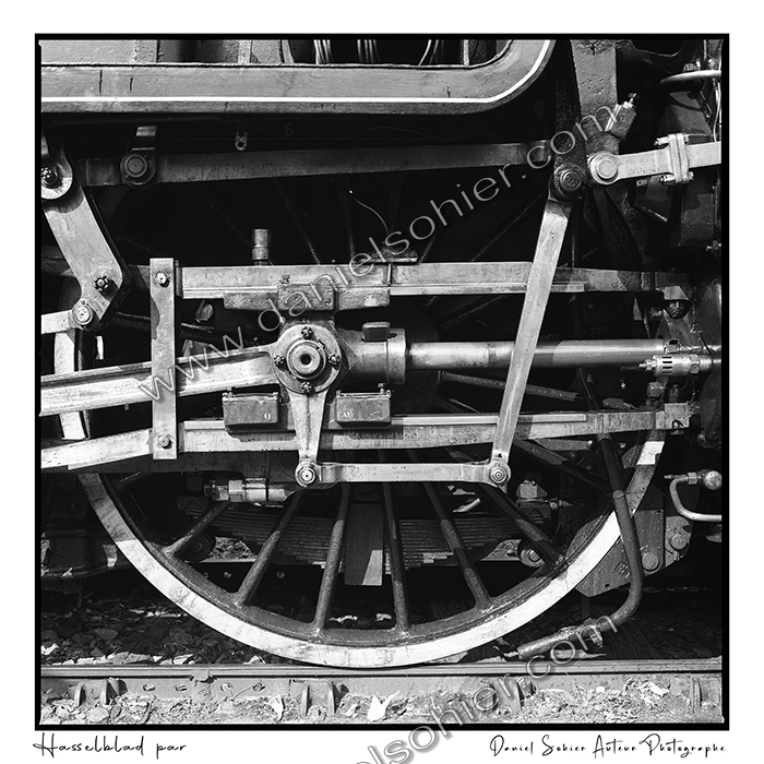 Création photographique noir et blanc argentique