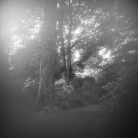 LE PARC - JARDIN FAVIER - Cherbourg en Cotentin - Manche - France 1986 - Hasselblad 6x6 argentique Photographie N° JF 06