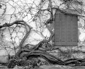 Création Noir&Blanc