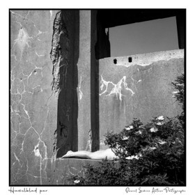 Création photographique noir et blanc argentique