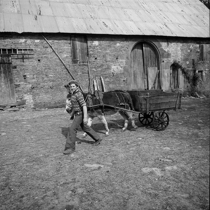 L'Ane à la ferme