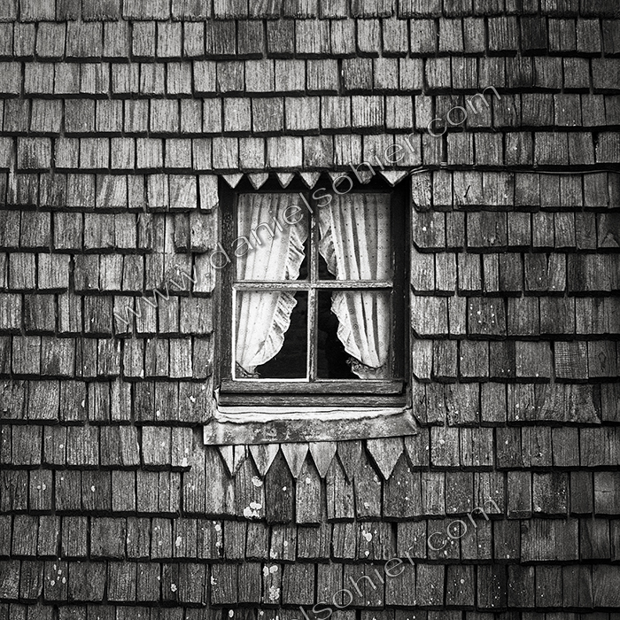 Création Noir&Blanc