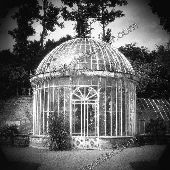 LA SERRE - Jardin des Ravalet - Cherbourg en Cotentin - Manche - France 1993 - Hasselblad 6x6 argentique Photographie N° ATMOBOT 01
