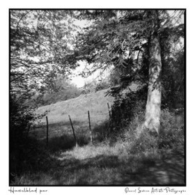 Création photographique noir et blanc argentique