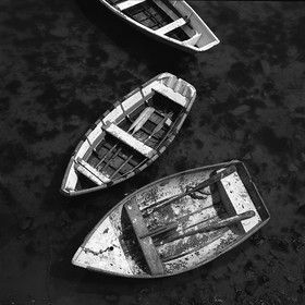 NOIR & BLANC