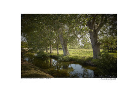 Photoggraphies de paysage