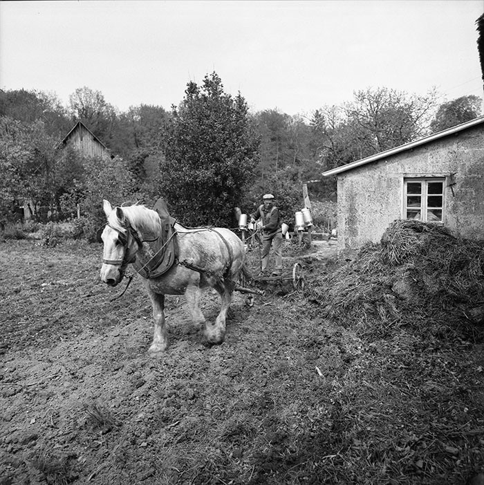 Le champ derrière la ferme