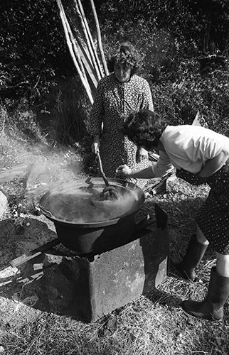 La journée du Cochon