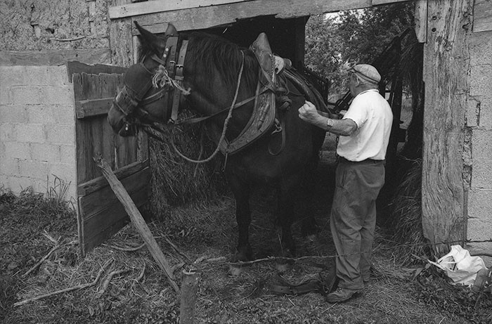 Le fumier dans l'Baniau
