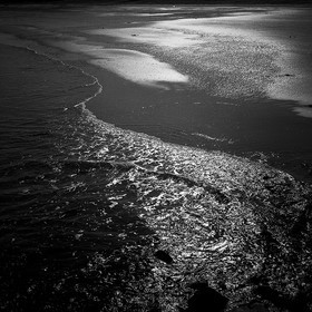 Création Noir&Blanc