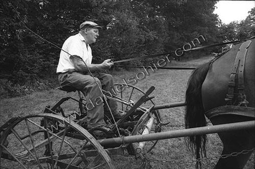 Reportage sur les foins