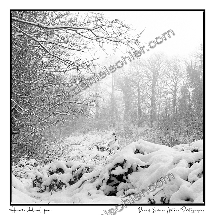 Création photographique noir et blanc argentique