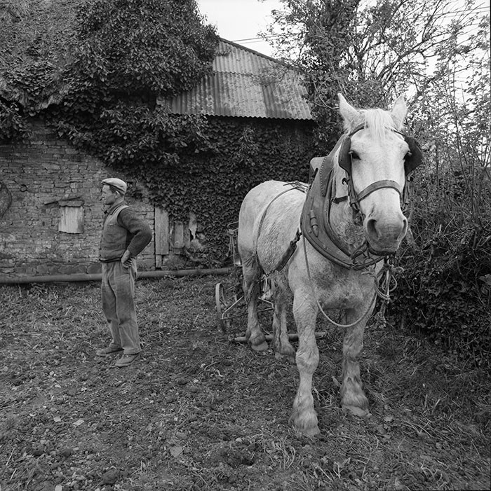 Le champ derrière la ferme