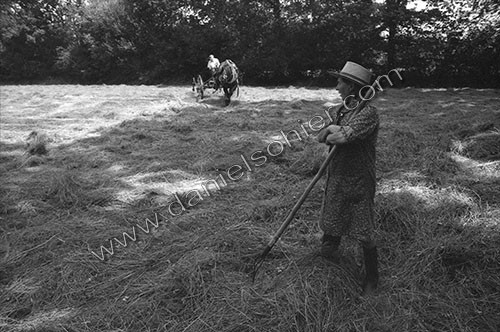 Reportage sur les foins