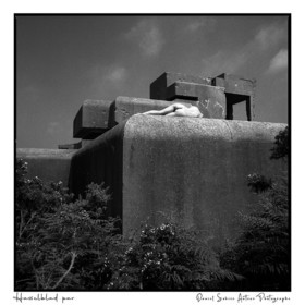 Création photographique noir et blanc argentique