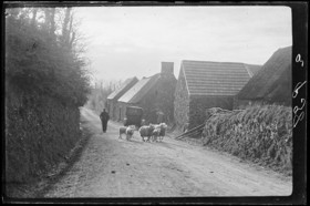 Photographie Gustave Bazire (1893-1941)