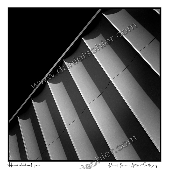 Création photographique noir et blanc argentique