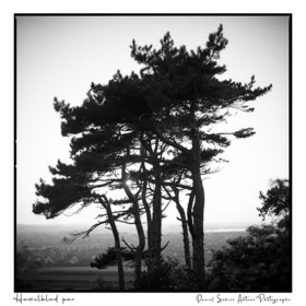 Création photographique noir et blanc argentique