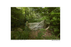 Photoggraphies de paysage