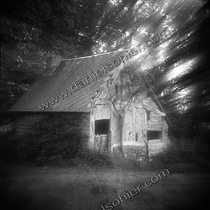 Création Noir&Blanc