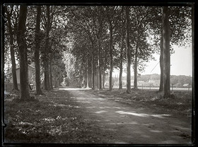 Plaques de verre 1910