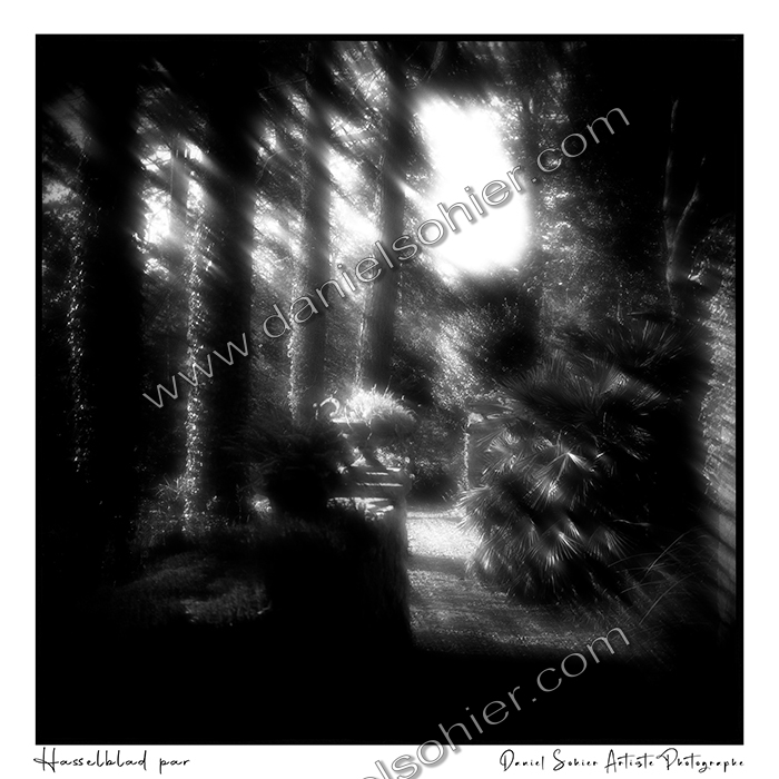 Création photographique noir et blanc argentique