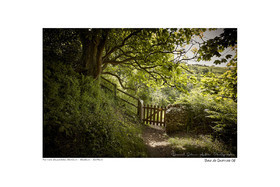 Photoggraphies de paysage