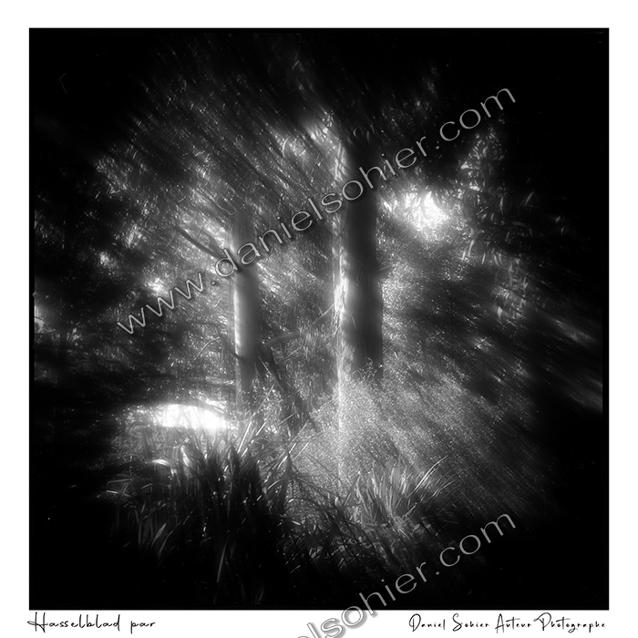 Création photographique noir et blanc argentique