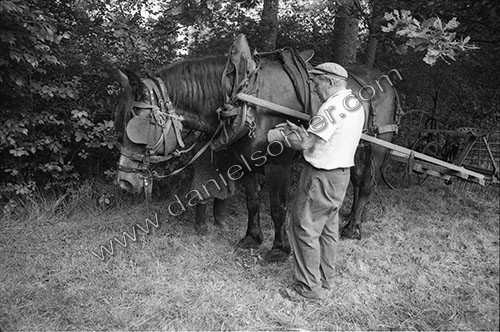 Reportage sur les foins