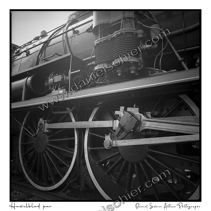 Création photographique noir et blanc argentique