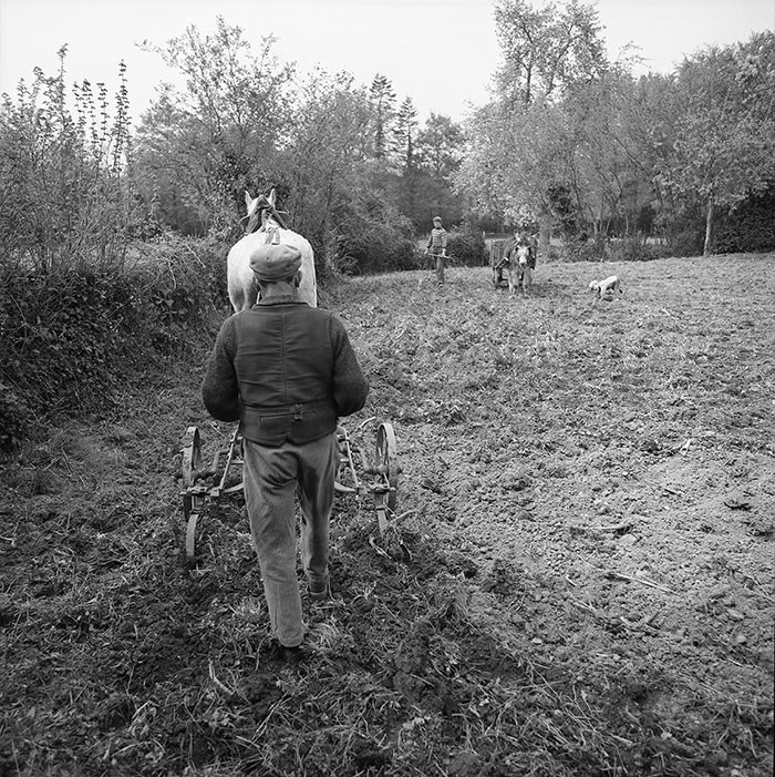 Le champ derrière la ferme