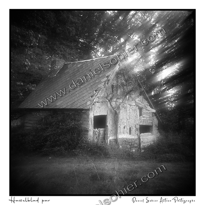 Création photographique noir et blanc argentique