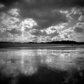 Création Noir&Blanc