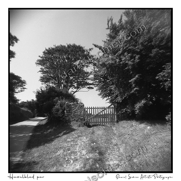 Création photographique noir et blanc argentique