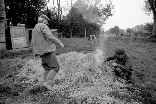 La journée du Cochon