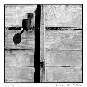 Création photographique noir et blanc argentique