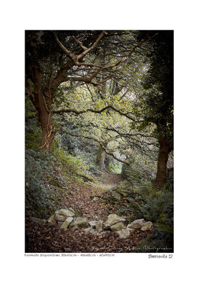 Photoggraphies de paysage