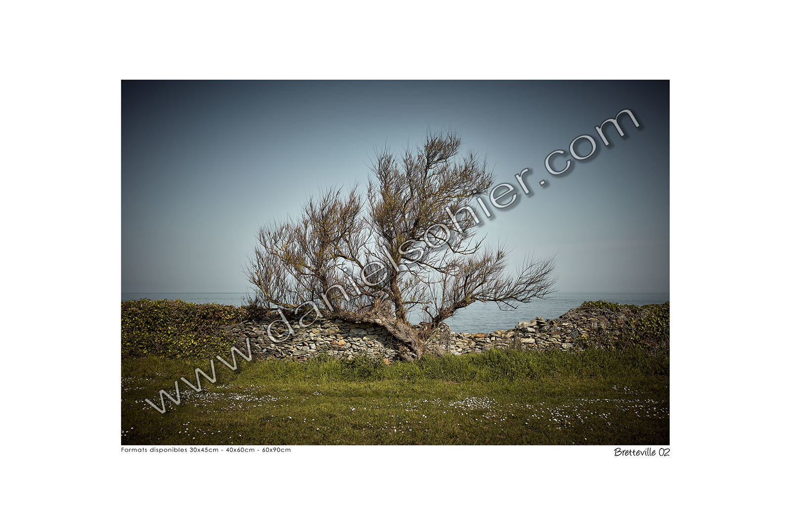 Photoggraphies de paysage