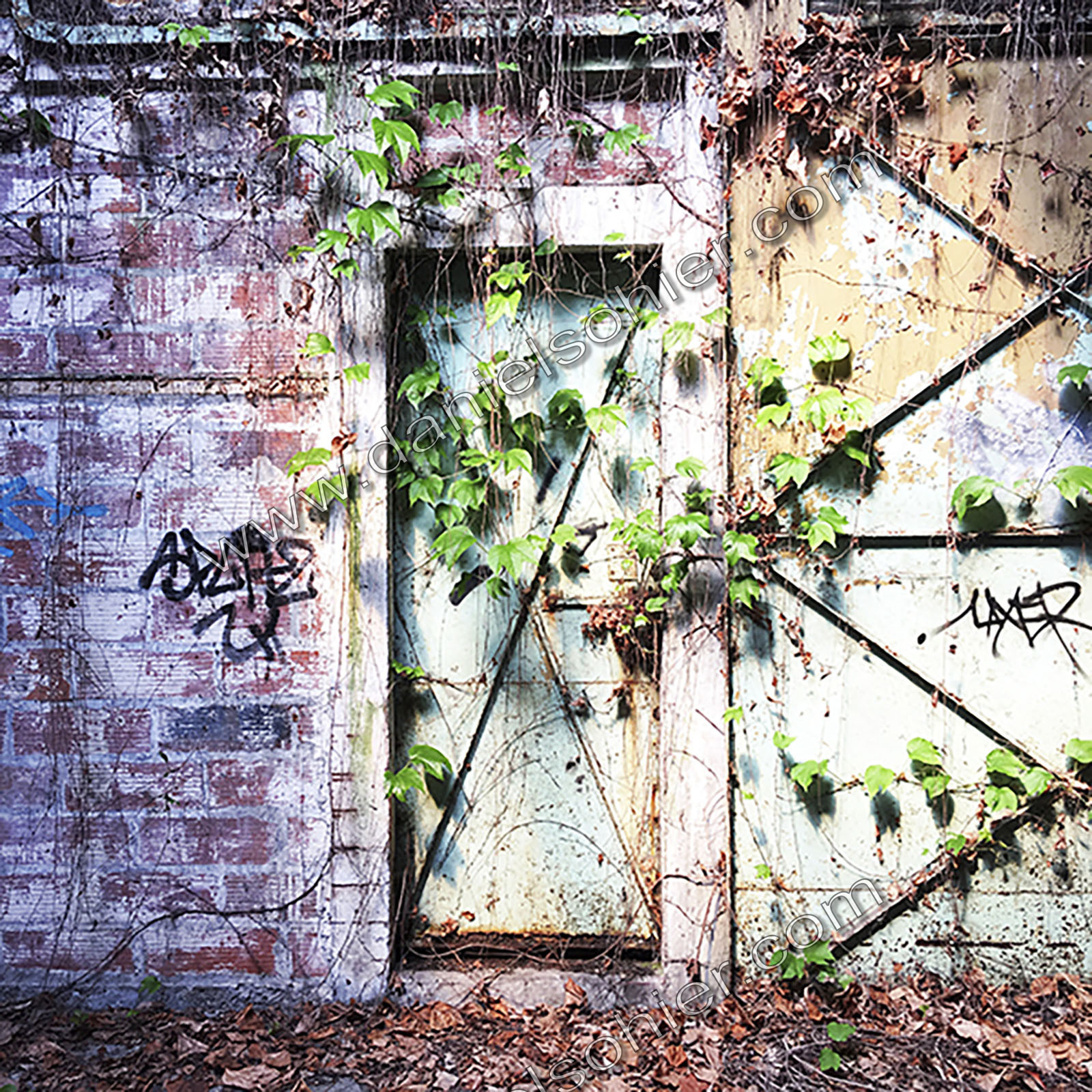 Hipstography couleurs