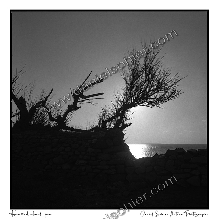 Création photographique noir et blanc argentique