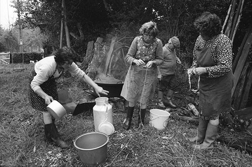 La journée du Cochon