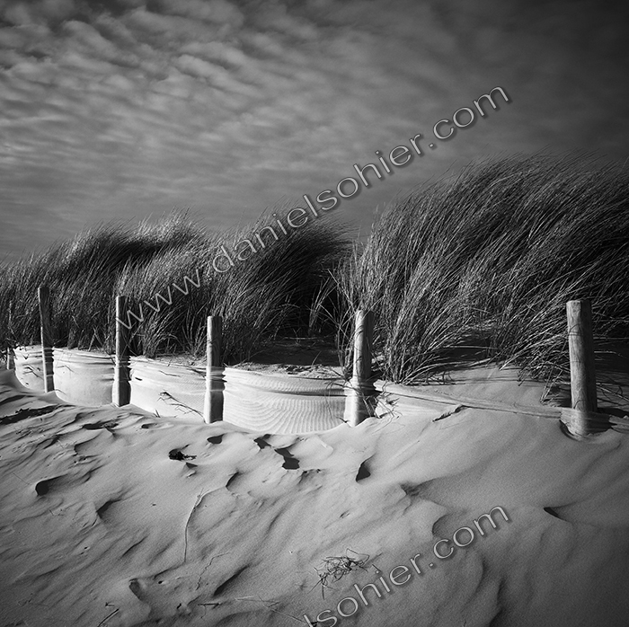 GANIVELLES- Cherbourg en Cotentin - Manche - France 2012 - Hasselblad 6x6 argentique Photographie N° PM 02