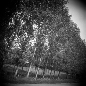 NOIR & BLANC